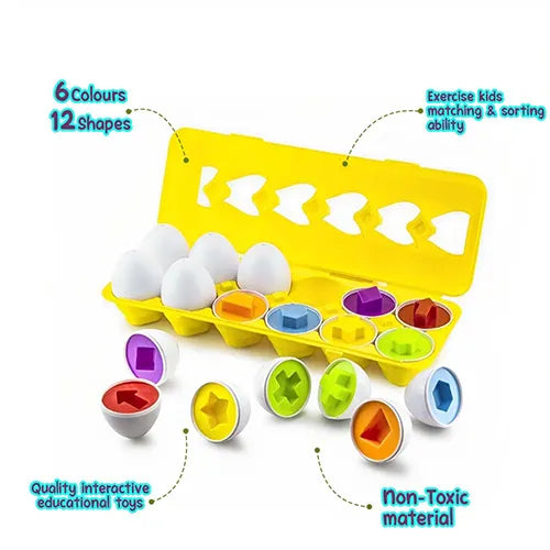 matching eggs 12 pieces 2